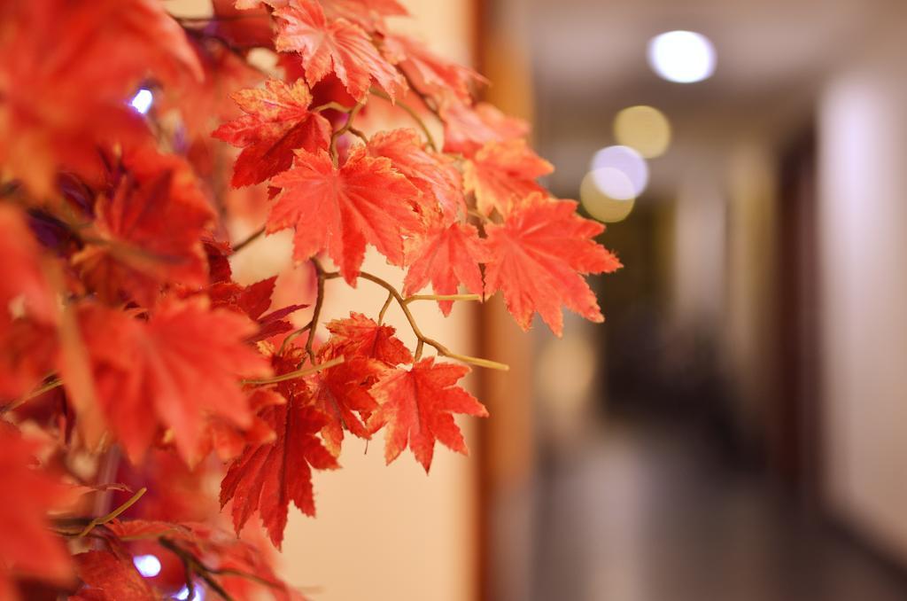 King Town Hotel Luodong Exterior foto