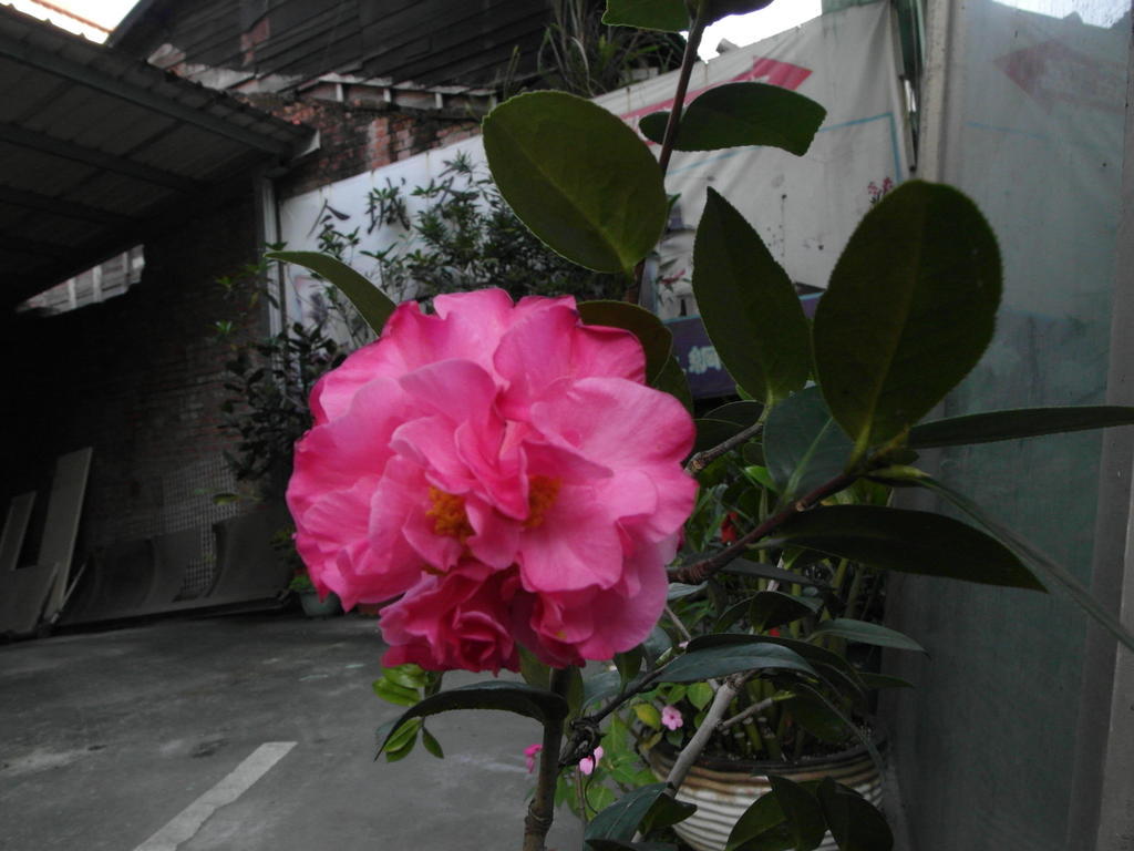 King Town Hotel Luodong Exterior foto